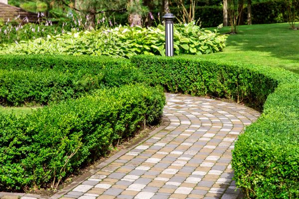 Paved Landscaping in Summerville
