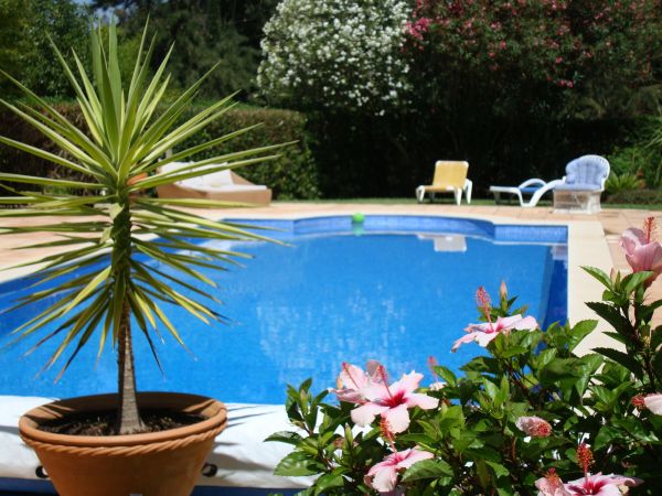 Pool Terrace Renovation in Summerville